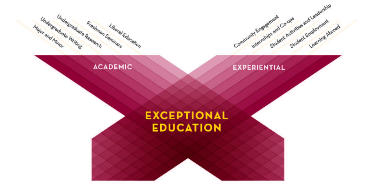 Undergraduate Experience Framework handout