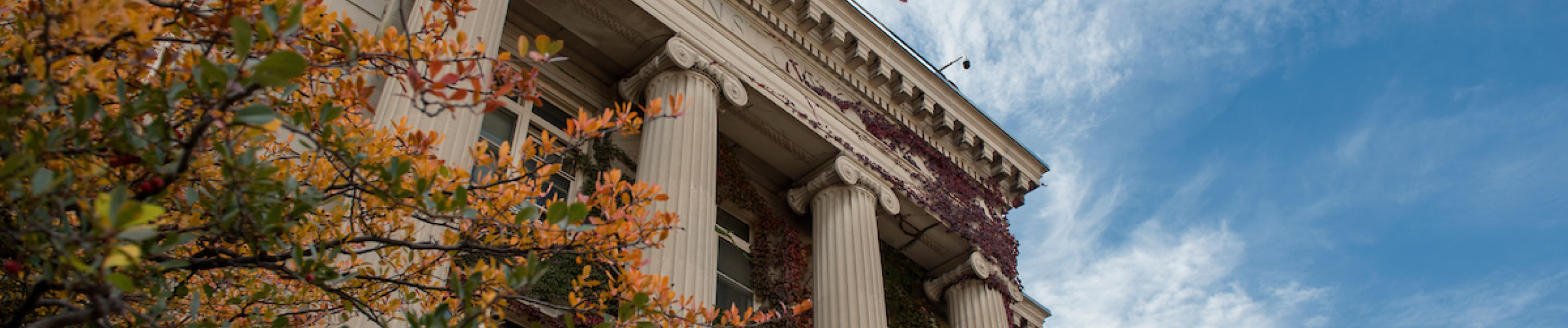 abstract photo of campus building with columns and fall foliage